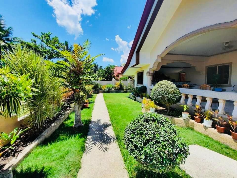Dreamcatcher Hostel Moalboal Bagian luar foto